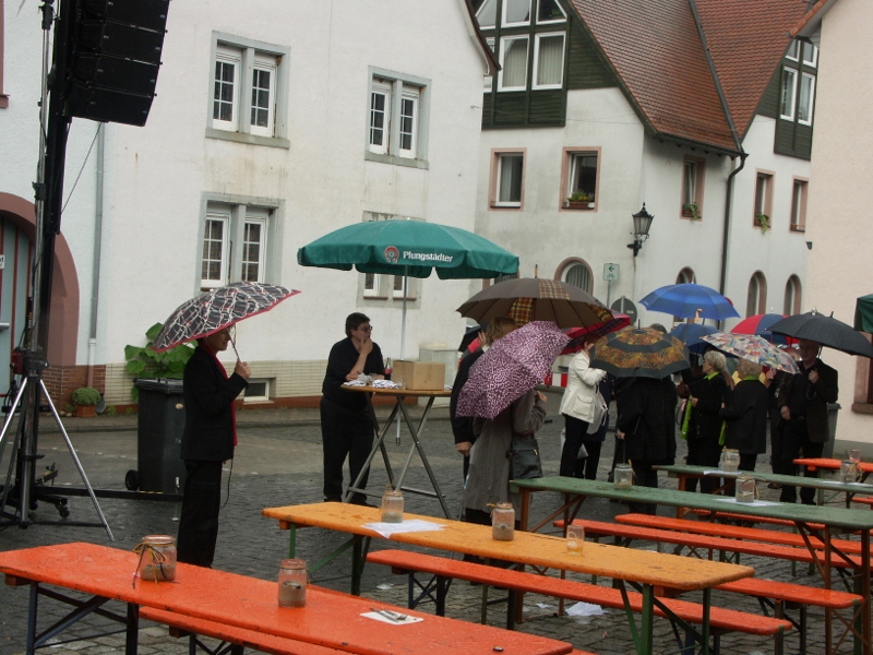 07.06.2009: Chor beim Maifest in Zwingenberg